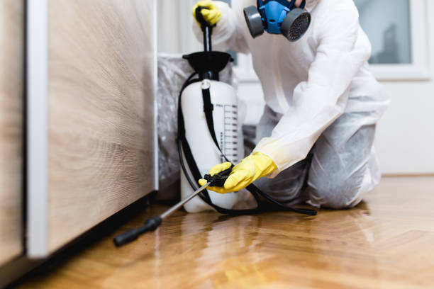 Best Pest Removal Services  in New Cassel, NY