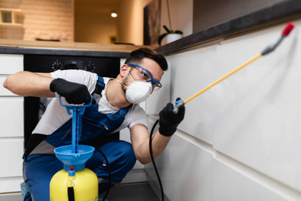Best Emergency Pest Control  in New Cassel, NY