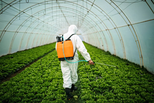 Best Commercial Pest Control Services  in New Cassel, NY