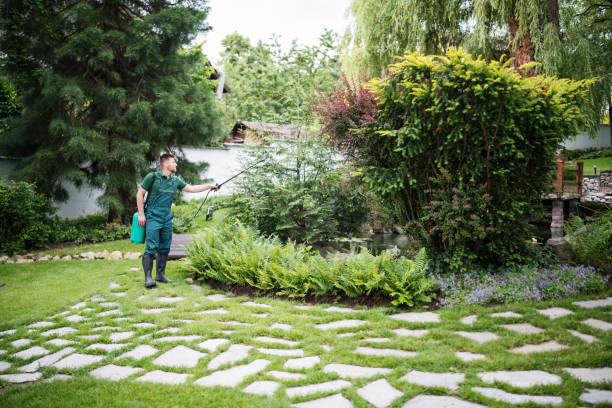 Best Pest Control Near Me in New Cassel, NY