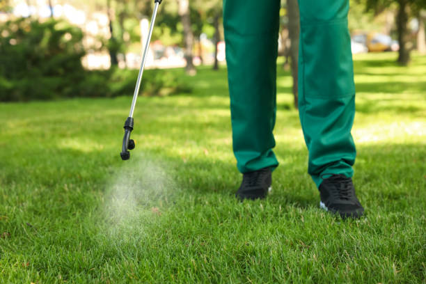 Best Best Pest Control Companies  in New Cassel, NY