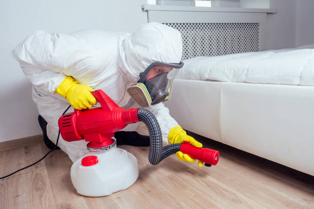 Best Local Pest Control Services  in New Cassel, NY