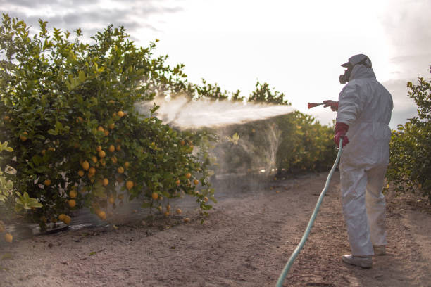 Best Best Pest Control Companies  in New Cassel, NY