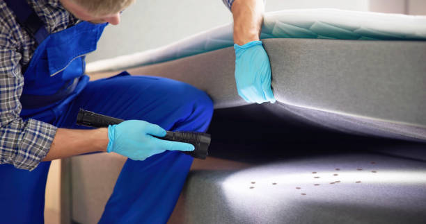 Best Pest Control Near Me in New Cassel, NY