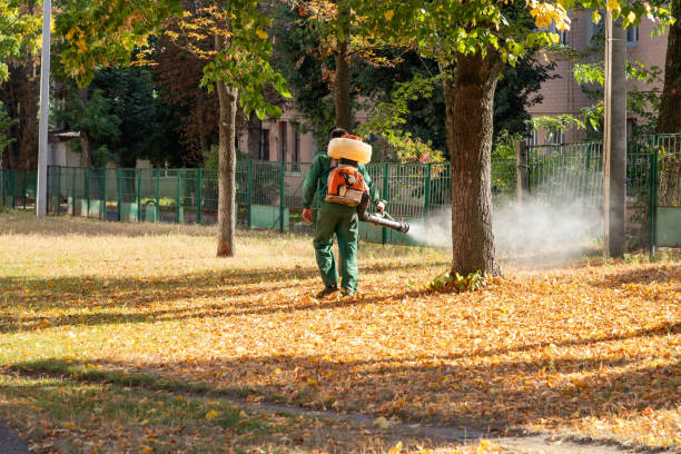 Best Best Pest Control Near Me  in New Cassel, NY