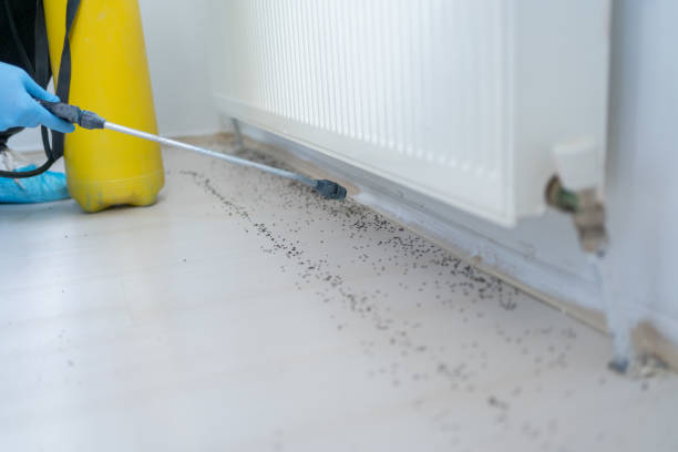 Best Mosquito Control Services  in New Cassel, NY