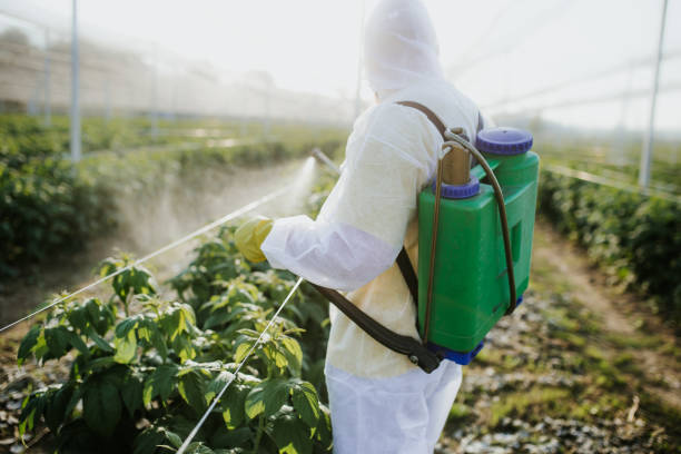 Best Pest Control Near Me  in New Cassel, NY